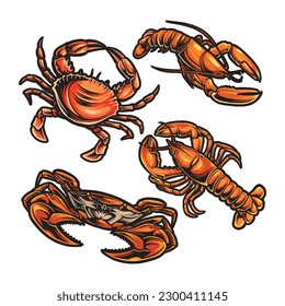 Vector Crab and Lobster For Seafood