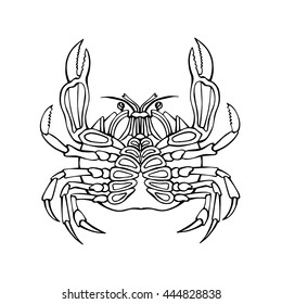Vector crab logo isolated. Line  silhouette.