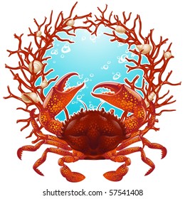 Vector crab and red coral frame