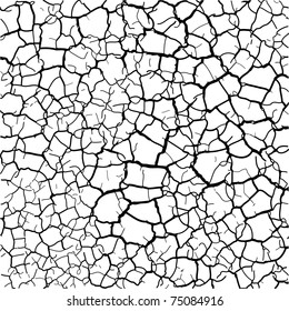 Vector cracked texture