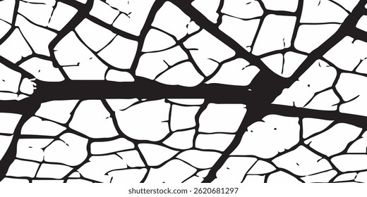 Vector cracks, breaks on land surface from earthquake. old wall background crack vector, grunge texture. cracked white paint on a white background. 