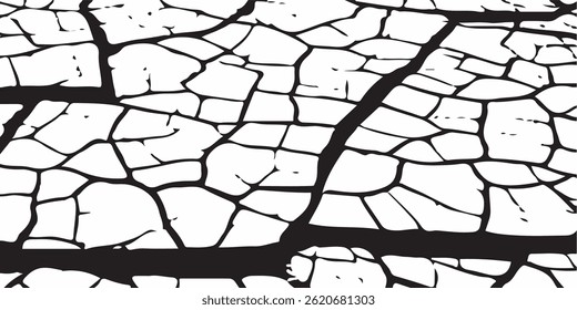 Vector cracks, breaks on land surface from earthquake. old wall background crack vector, grunge texture. cracked white paint on a white background. 