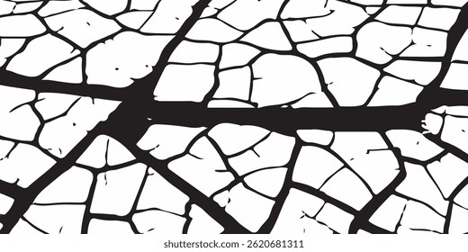 Vector cracks, breaks on land surface from earthquake. old wall background crack vector, grunge texture. cracked white paint on a white background. 