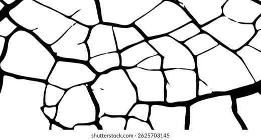 Vector cracks, breaks on land surface from earthquake. old wall background crack vector, grunge texture. cracked white paint on a white background. 