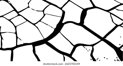 Vector cracks, breaks on land surface from earthquake. old wall background crack vector, grunge texture. cracked white paint on a white background. 