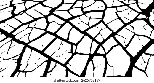 Vector cracks, breaks on land surface from earthquake. old wall background crack vector, grunge texture. cracked white paint on a white background. 