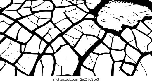 Vector cracks, breaks on land surface from earthquake. old wall background crack vector, grunge texture. cracked white paint on a white background. 