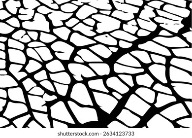 Vector cracks, breaks on land surface from earthquake. old wall background crack vector, grunge texture. cracked white paint on a white background. 