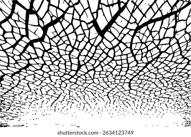 Grietas de Vector, roturas en la superficie de la tierra del terremoto. Vector de grietas de fondo de pared vieja, textura grunge. pintura blanca agrietada sobre un fondo blanco. 