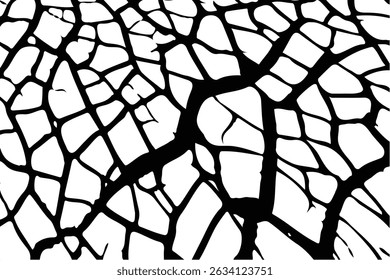 Vector cracks, breaks on land surface from earthquake. old wall background crack vector, grunge texture. cracked white paint on a white background. 