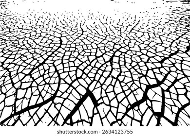 Vector cracks, breaks on land surface from earthquake. old wall background crack vector, grunge texture. cracked white paint on a white background. 