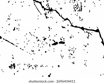 Vector cracks, breaks on land surface from earthquake. old wall background crack vector, grunge texture. cracked white paint on a white background. 