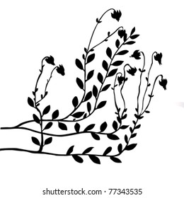 vector cranberry bush on white background