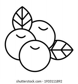 Vectorcranberry Outline Icon Design
