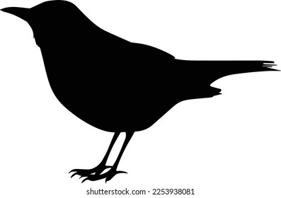 vector created and cleaned canary