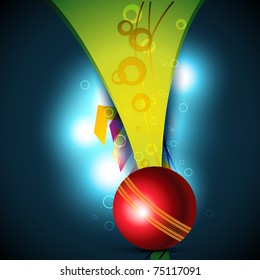 vector cricket ball beautiful background