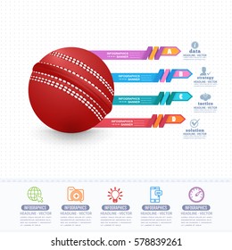 Vector Cricket Ball Infographics Design and Sports Web Banner, Stats Elements, Background