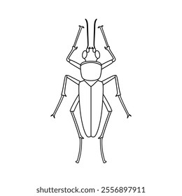 Vector Cricket Bug Insect Cartoon Illustration Isolated