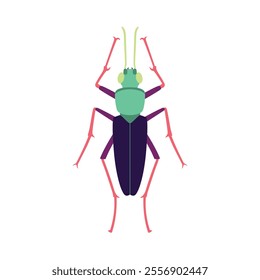 Vector Cricket Bug Insect Cartoon Illustration Isolated