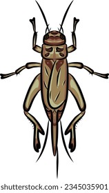 Vector of Cricket Insect from top view