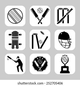 Vector cricket related icon set