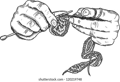 vector - Crochet hands wuth Crochet Hook working, front view