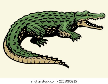 vector of Crocodile in Hand Drawn Vintage Style