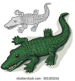Vector crocodile illustration.