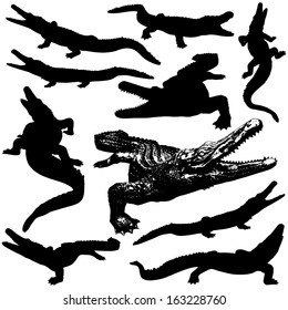 cute crocodile silhouette