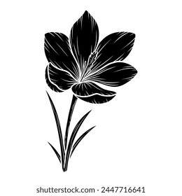 Vector crocus flower silhouette illustration, saffron floral silhouette drawing. Wildflower sketch. Hand drawn botanical outline art. Isolated design element for background, pattern, logo.