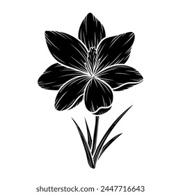 Vector crocus flower silhouette illustration, saffron floral silhouette drawing. Wildflower sketch. Hand drawn botanical outline art. Isolated design element for background, pattern, logo.