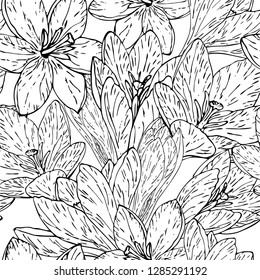 Vector crocus seamless pattern.  Floral seamless pattern. Flower background. Floral seamless texture with flowers.