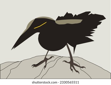 Vector of crow bird on rock