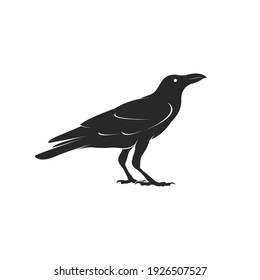 Vector of crow design isolated on white background. Easy editable layered vector illustration. Black Birds. Wild Animals.