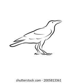 Vector of crow design isolated on white background. Easy editable layered vector illustration. Birds, Wild Animals.
