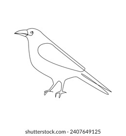 Vector crow drawing in one continuous line isolated on white background illustration minimal. Crow single line art  illustration