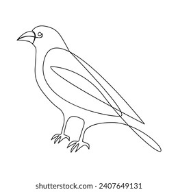Vector crow drawing in one continuous line isolated on white background illustration minimal. Crow single line art  illustration