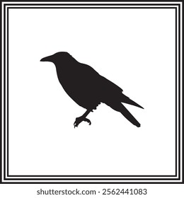 Vector Crow silhouette on white background, wildlife animal silhouette.