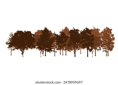 vector crowd of forest pine tree silhouettes