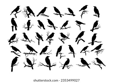  Vector crows in various perched and flying poses. Great for Halloween, haunted woods, or gothic decorative elements.