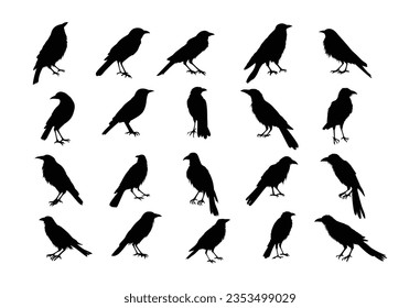  Vector crows in various perched and flying poses. Great for Halloween, haunted woods, or gothic decorative elements.