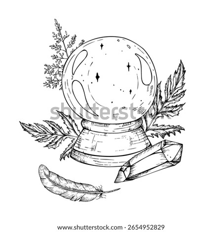 Vector crystal ball to predict the fate, leaves, feather, amethyst crystal. Hand painted linear illustration of Guessing for the future. Graphic monochrome halloween sketch isolated on background. For