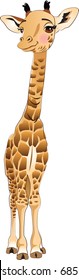 Vector cub of a giraffe on a white background