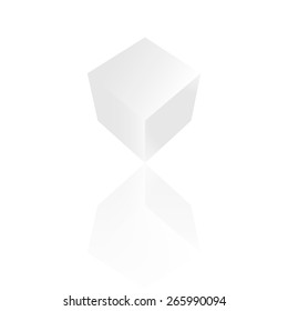 Vector cube with mirror reflection