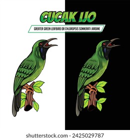 Vector cucak hijau bird or Greater green leafbird for illustration and team logo mascot