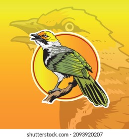 Vector Cucak Rawa Rowo Pycnonotus Zeylanicus Indonesia Bird Mascot Illsutration 