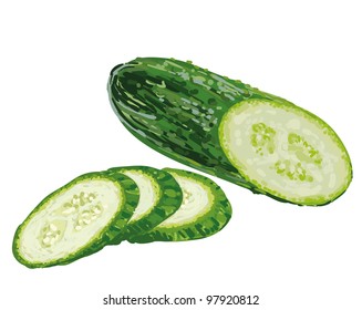 Vector Cucumber
