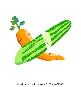 vector of cucumber and carrot illustration