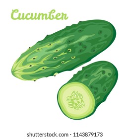 Vector cucumber in flat style. Vegetable isolated on white background. Healthy vegetarian food. Whole and cut.