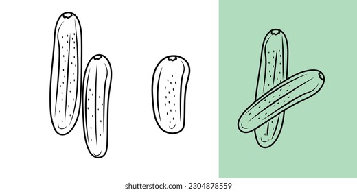 Vector Cucumber hand drawn. Isolated cucumber, three shapes isolated on green and white. 